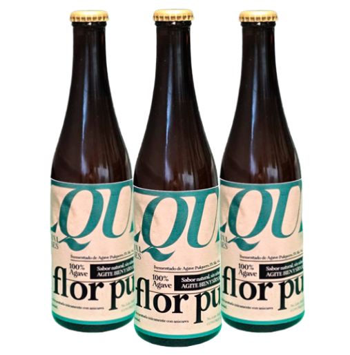3b Pulque La Flor Pura
