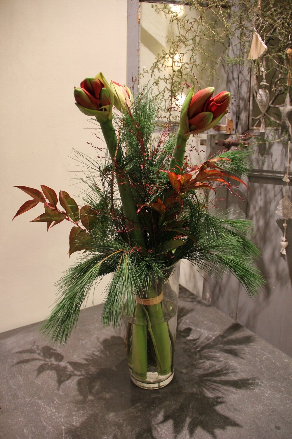 Amaryllis ausgarniert