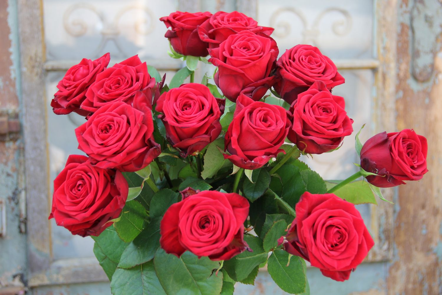 rote Rosen