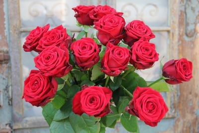 rote Rosen