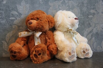 Teddybär (braun oder weiss)