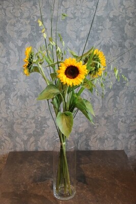Sonnenblumen