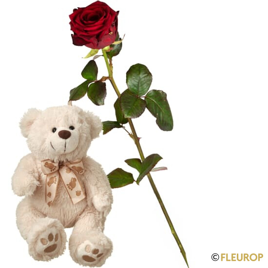 rote Rosen mit ......