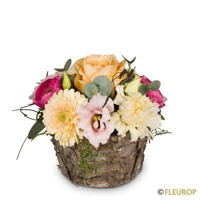 Blumengesteck «Sanfte Frühlingsmelodie»