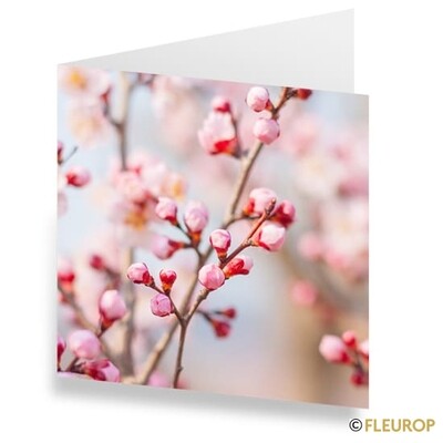 Grusskarte mit Motiv