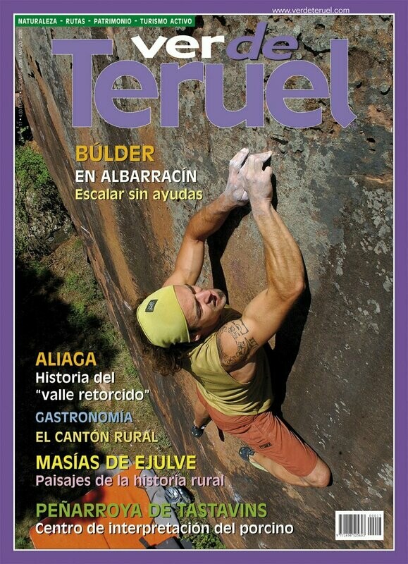 n. 17