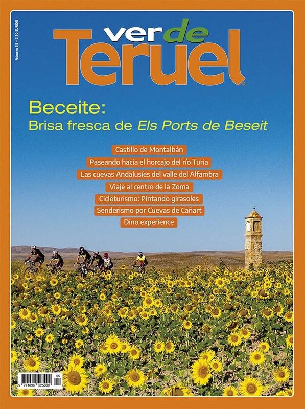 nº 55