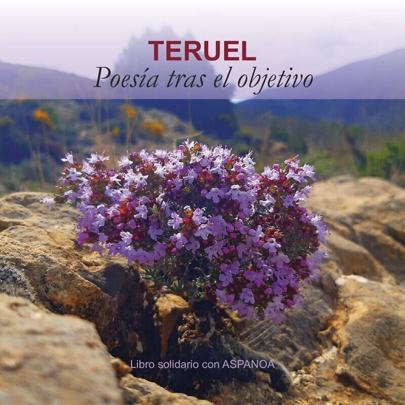 TERUEL
Poesía tras el objetivo