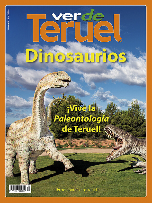 nº 58