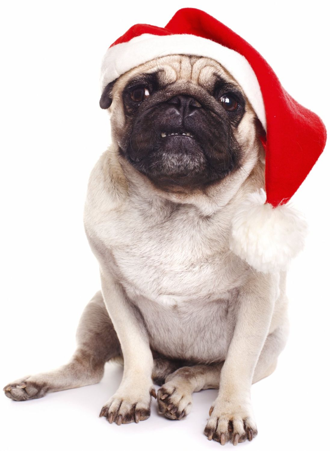 £50 Christmas 2025 Gift Voucher £50 Christmas 2025 Gift Voucher