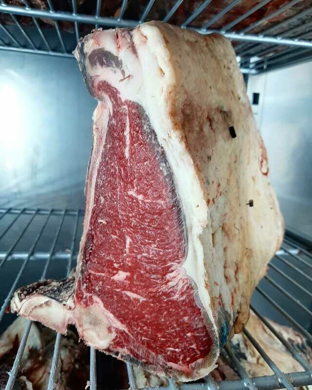 VACA DE POLONIA  65 días 500 grs