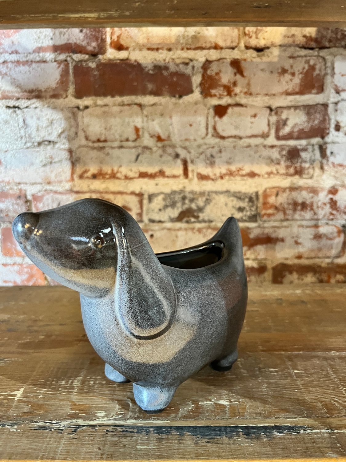 Cocoa Dog Planter