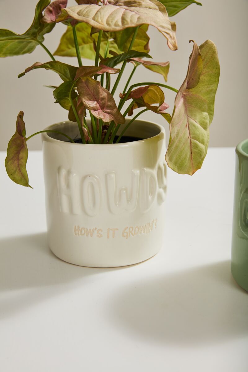Howdy Pot 50621.01