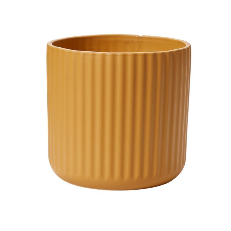 Mustard Beam Pot 97676.00