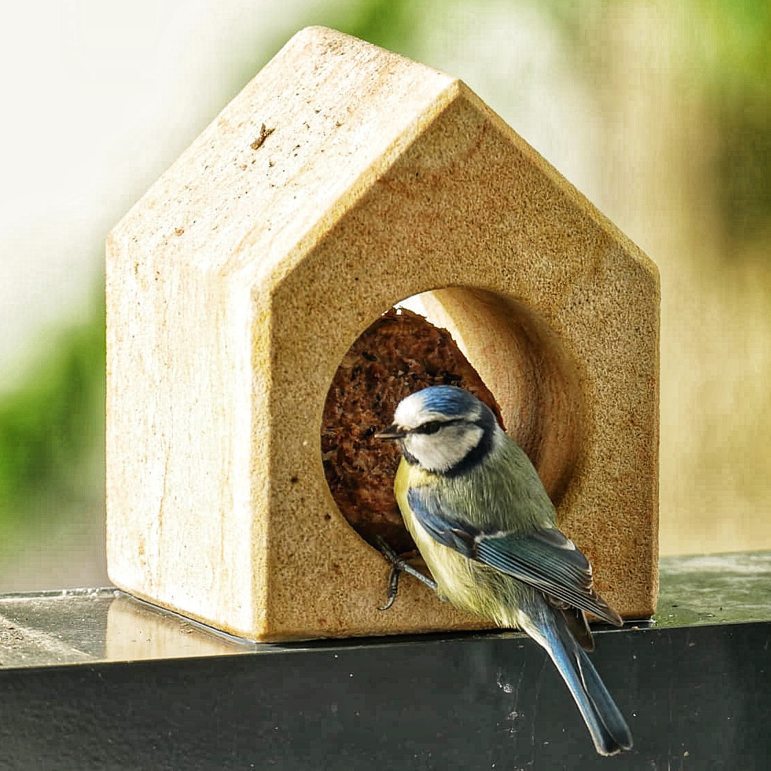 Dekovogelhäuschen