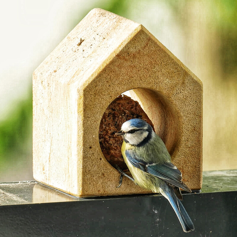 Dekovogelhäuschen