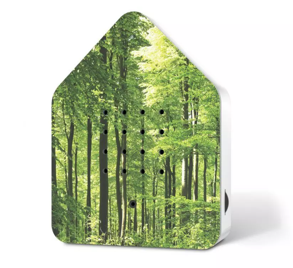 Zwitscherbox Forest