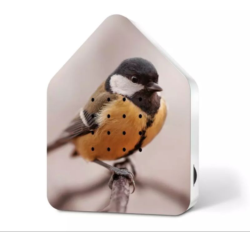 Zwitscherbox Limited Edition Fall 24 Great Tit