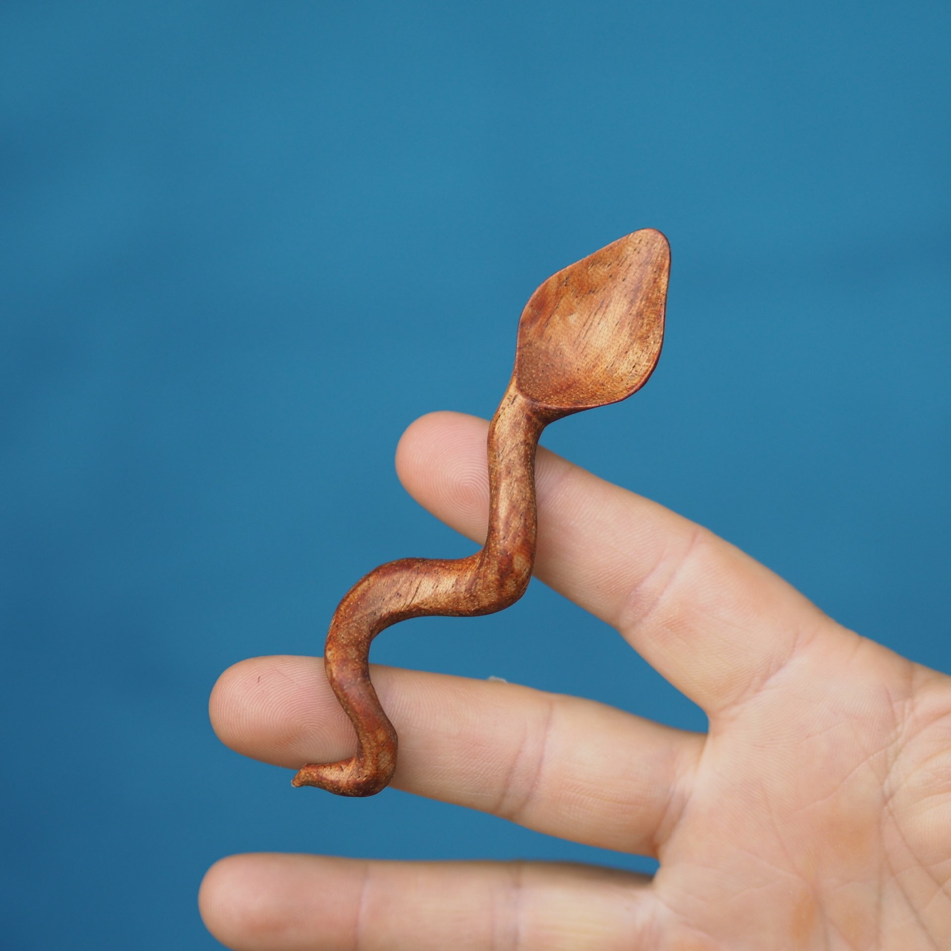 SERPENS - kleiner Löffel (Meranti)