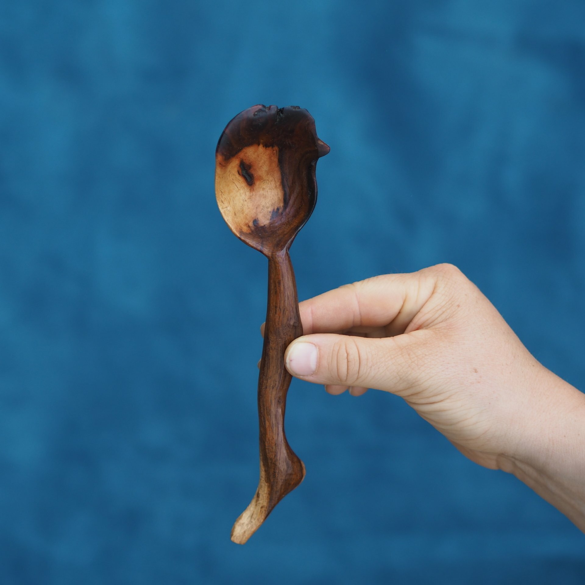 VITIS - Löffel (Weinrebe)