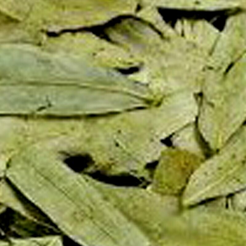 Hojas de Sen (1 Kg)
