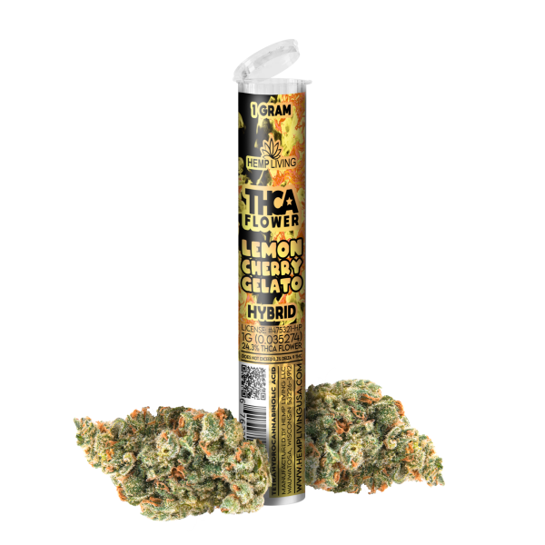 Hemp Living THCA Pre Roll | Lemon Cherry Gelato