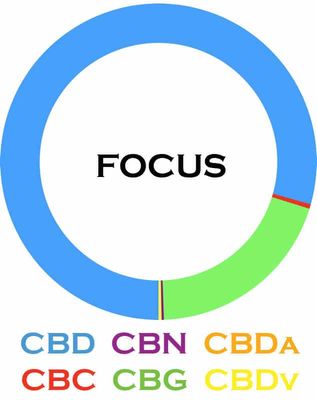 3Chi Oil | CBD Focus 6000mg