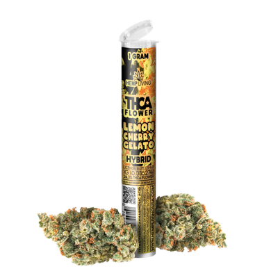 Hemp Living THCA Pre Roll | Lemon Cherry Gelato