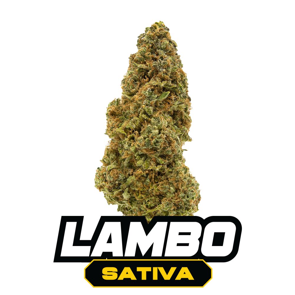 Bulk THCA Flower | Lambo