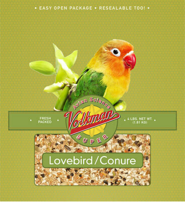 Volkman Lovebird/Conure 4#