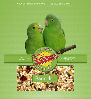 Volkman Parrotlet 4#