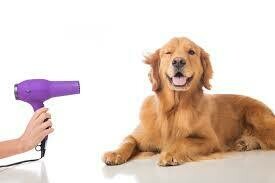 GROOMING