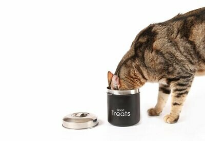 CAT TREATS