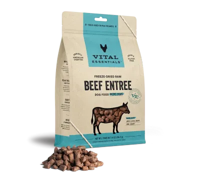 VE Dog Mini Nibs Beef 14oz