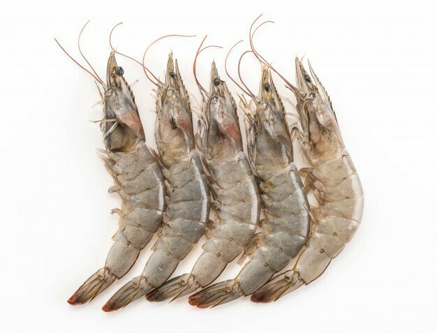 CAMARONES JUMBO