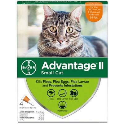 ADVANTAGE CAT SM 5-9# 4pk