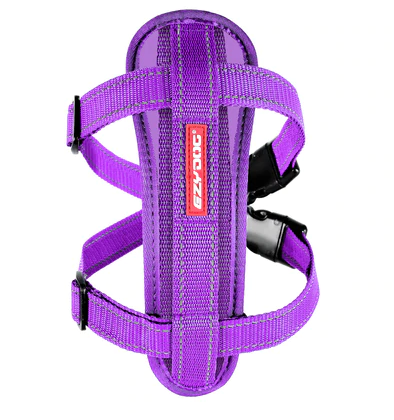 EZY CHEST PLATE PURPLE XS