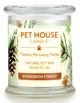 OFA EVERGREEN FOREST CANDLE