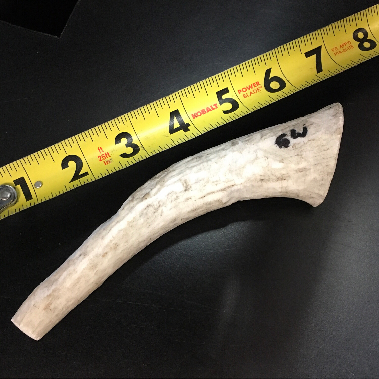 ANTLER WHOLE 6" - 6W