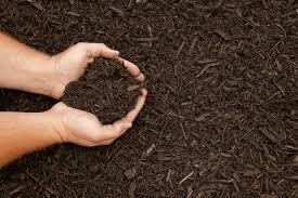Compost &amp; Mulch