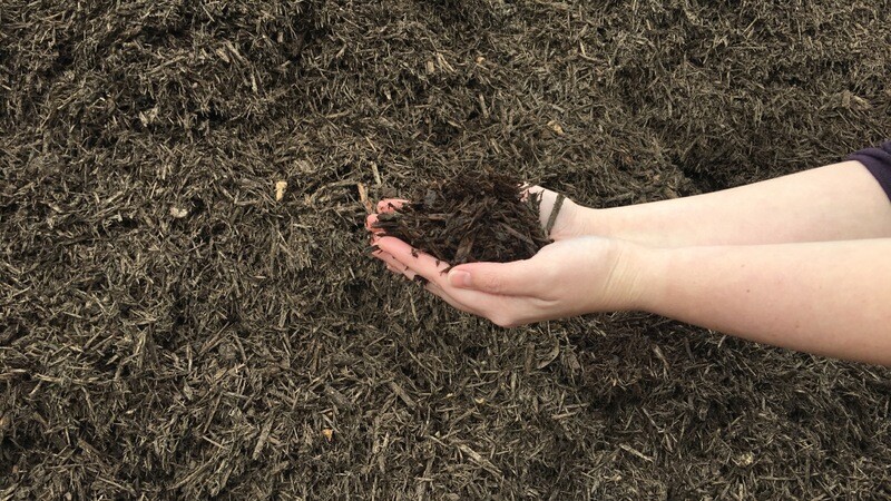 Chocolate Mulch