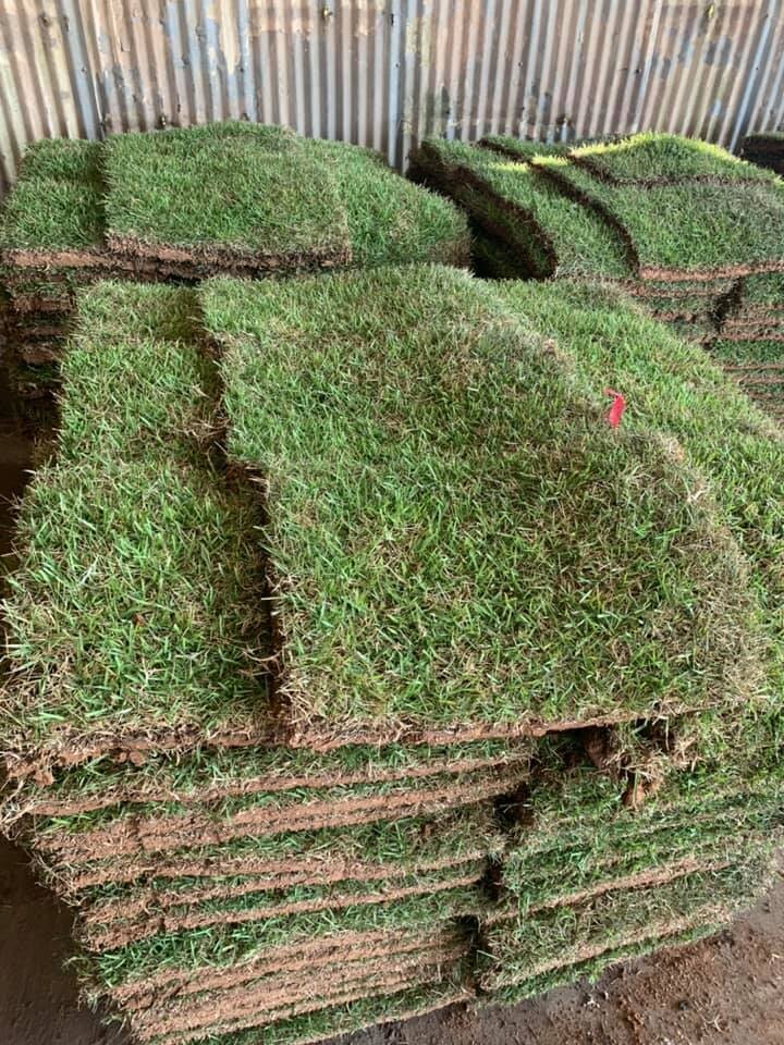 Crowne Zoysia Sod Pallet