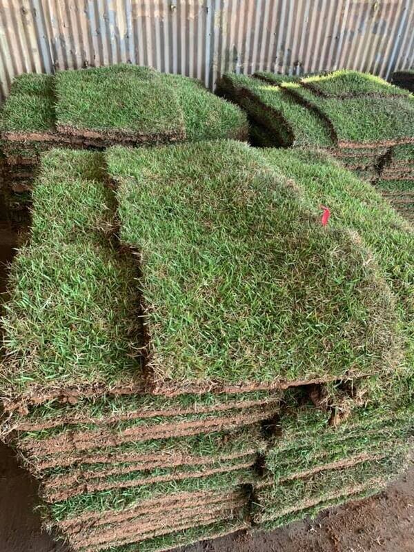 Crowne Zoysia Pallet