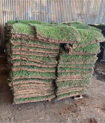 Crowne Zoysia Pallet