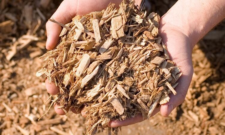 Kiddie Cushion Mulch