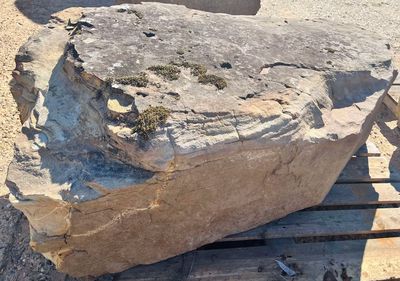 Creek &amp; Mossy Boulders
