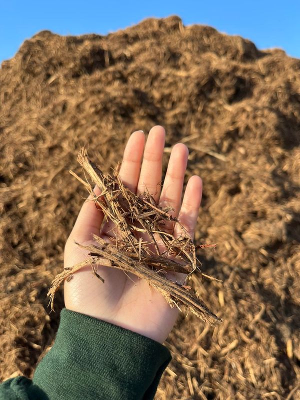 Cedar Mulch