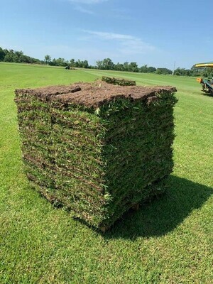 St. Augustine Sod Pallet
