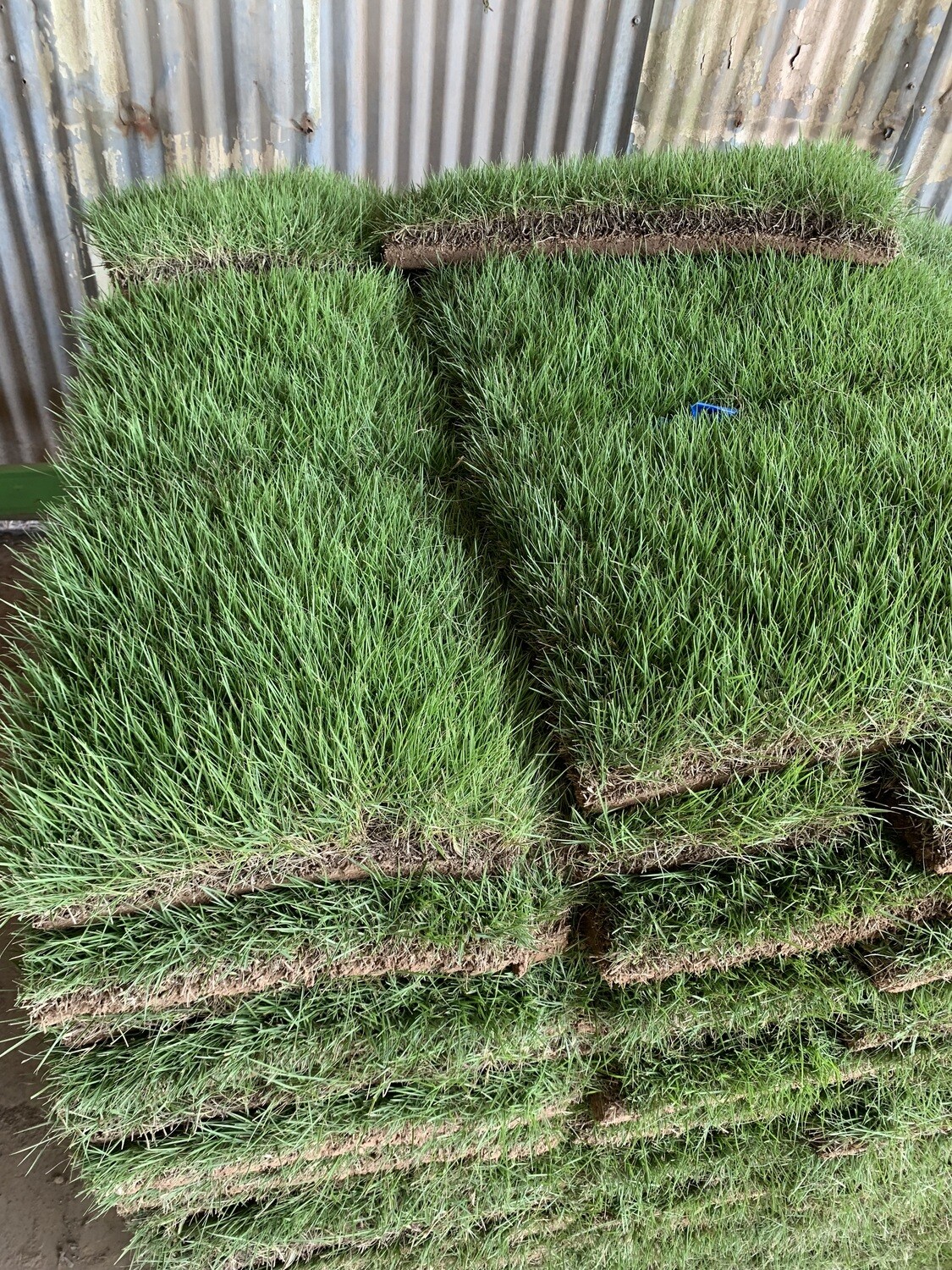 Zeon Zoysia Sod Pallet