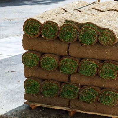 Crowne Zoysia Pallet